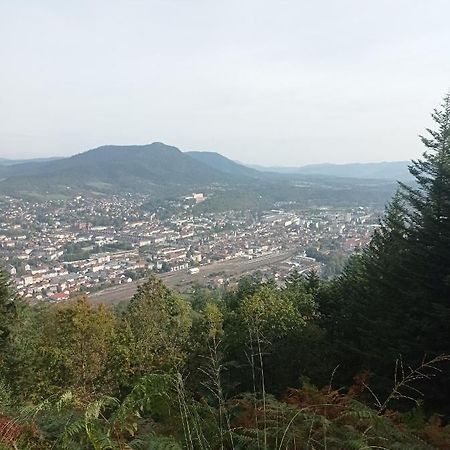 Chambre Chez L'Habitant Saint-Die-des-Vosges المظهر الخارجي الصورة